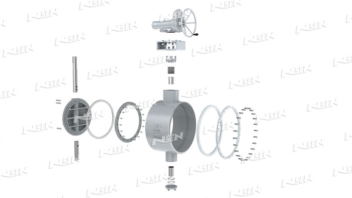 Metal to Metal butterfly valve replaceable seat structure NSEN